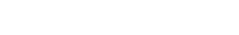 TEAM EMBLEM SAMPLE