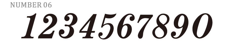 N06