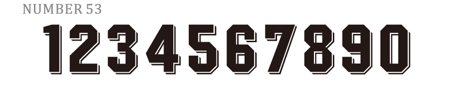 N53