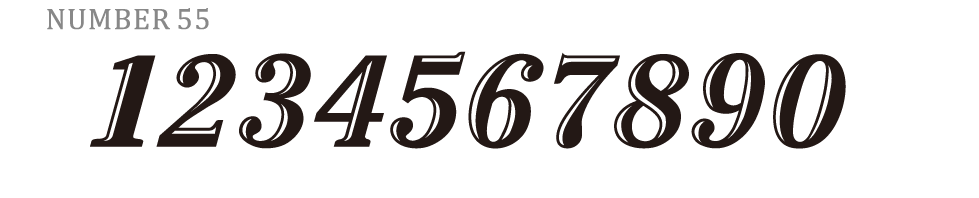 N55