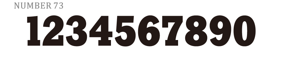 N73