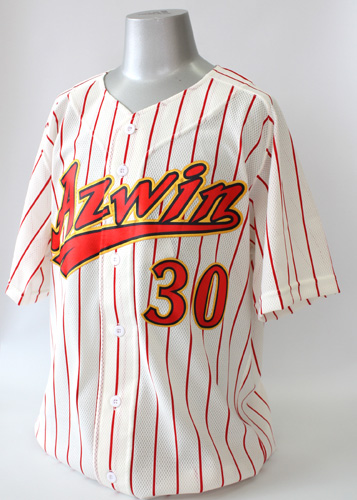 BASEBALL08