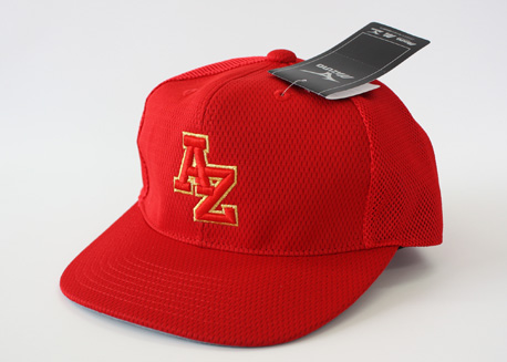 CAP04